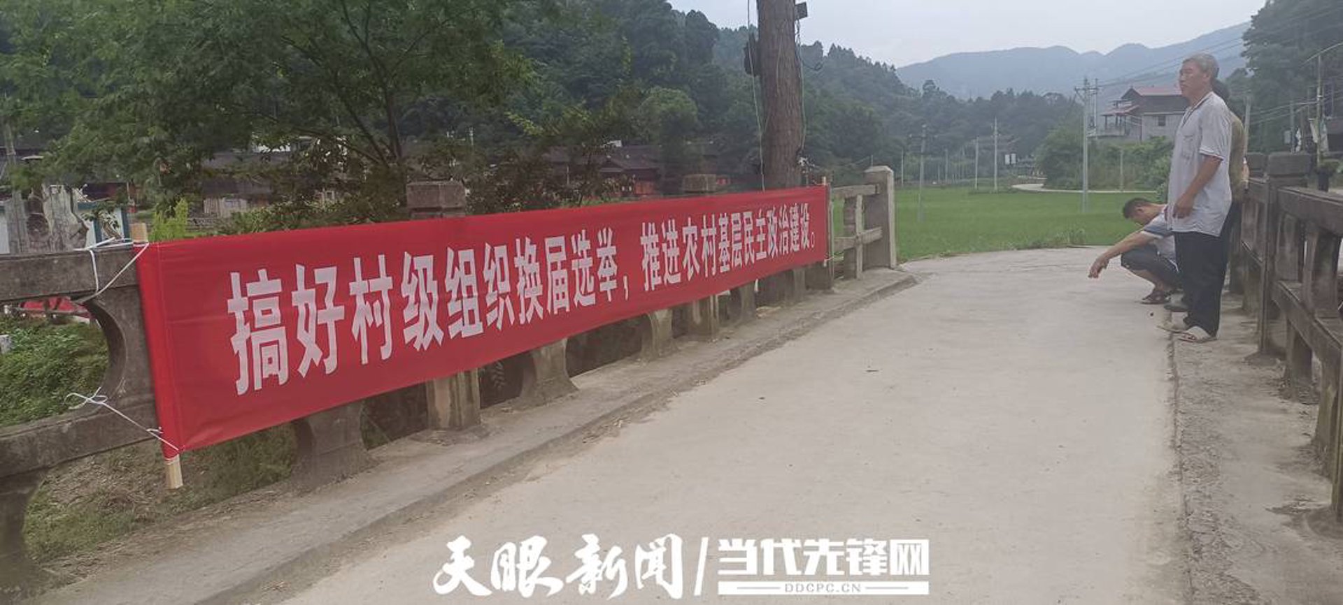 序通网络科技